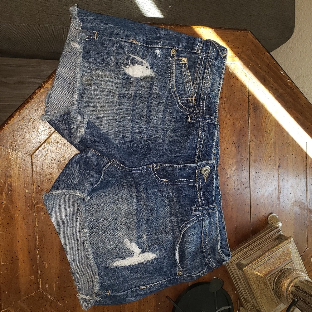 Blue Asphalt Shorts (11)